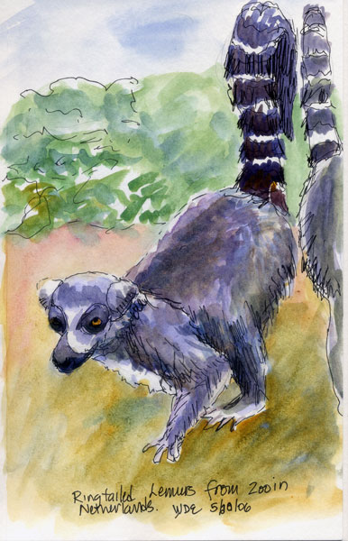 Lemur4-web.jpg