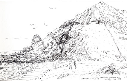 Beach at Tennessee Valley pen and ink
