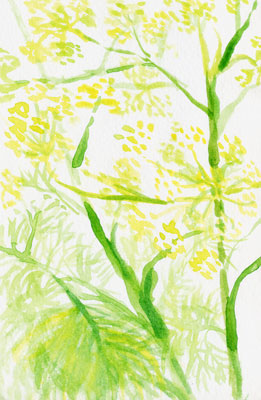 Fennel