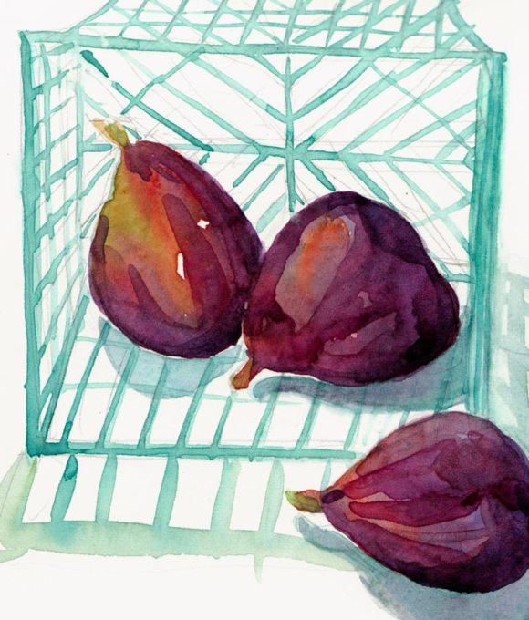 Figs, Watercolor, 8x6"