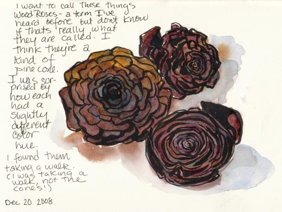 Woodroses Wood Roses or Pine Cones? (ink & watercolor)