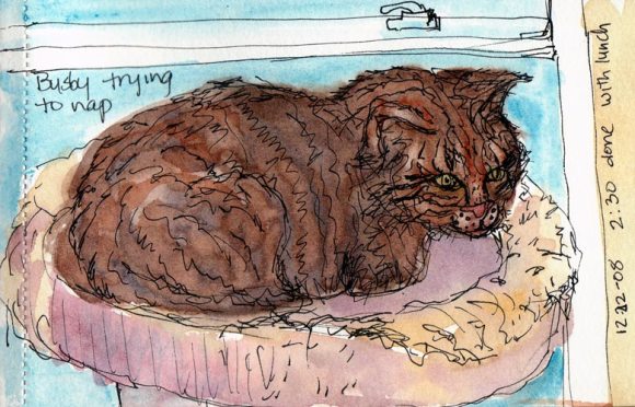 Busby Napping After Dinner