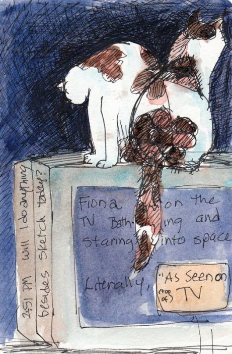 Fiona "As Seen on TV" Evening