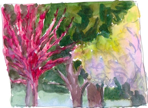 Spring Trees, ink & watercolor wash