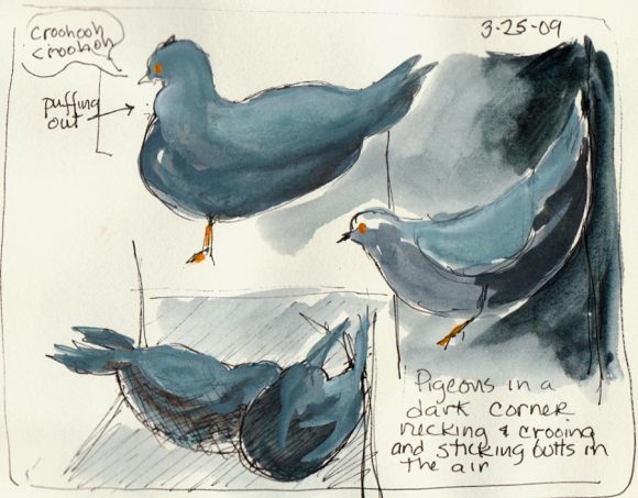 BART Station Pigeons, ink & gouache in sketchbook