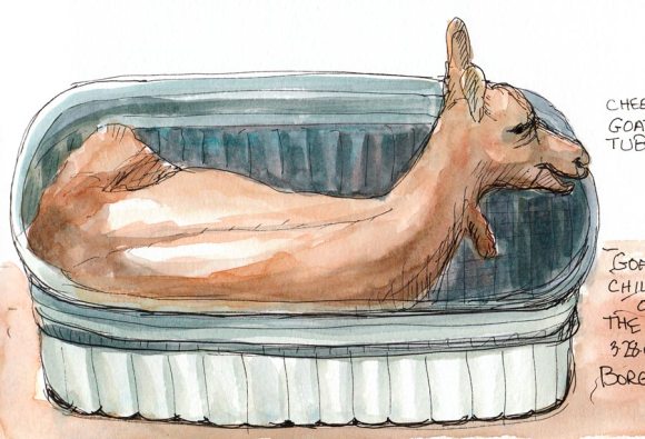 Goat chilling out in a tub; ink & watercolor in Moleskine 5x7" sketchbook
