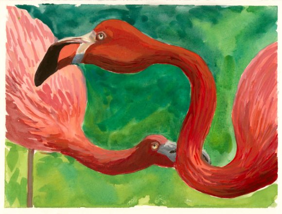 Why Are Flamingoes Pink? Gouache on hot press paper, 5.5x7.5"