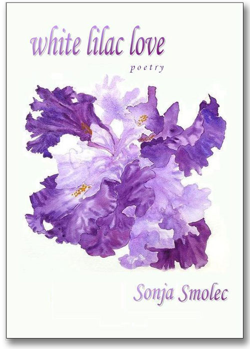 White Lilac Love Book Cover