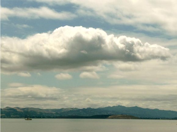 Photo of China Camp cloudy view