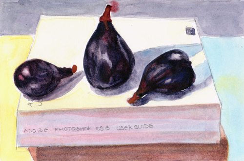 Figs on Photoshop Manual, Pencil and watercolor, 6x9