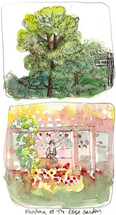 Berkeley Rose Garden views, Ink & watercolor