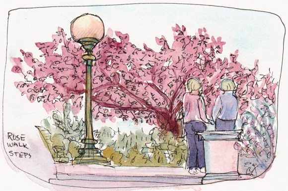 Rose Walk Steps, Berkeley, Ink & Watercolor 