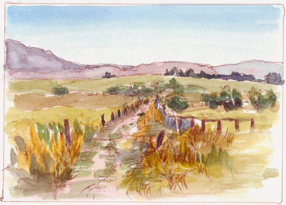 Rush Ranch Vista, ink & watercolor wash