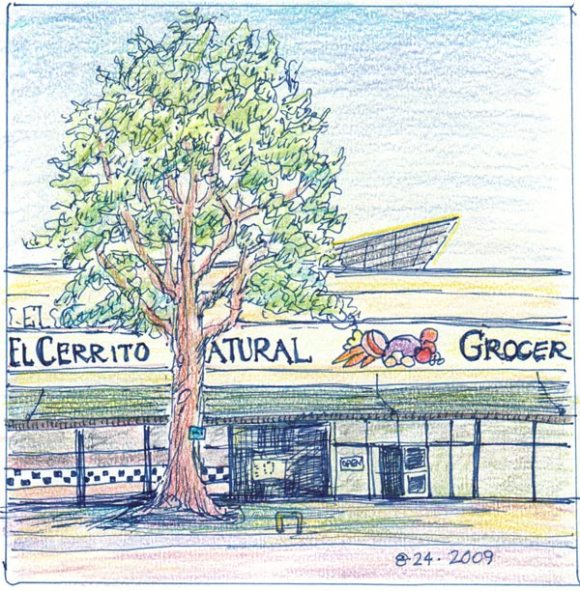 El Cerrito Natural Grocery, Copic cobalt multiliner & Polychromos colored pencils