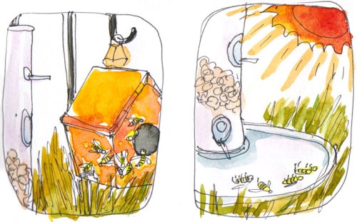 5. The wasps move in next door ---> 6. The Greenhouse Effect