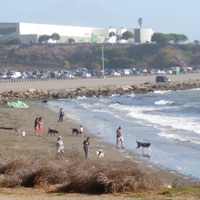 Albany bulb beach photo