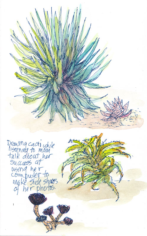 Cacti, ink and watercolor