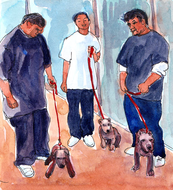 Tough Dudes and their Pitbulls, Ink and watercolor