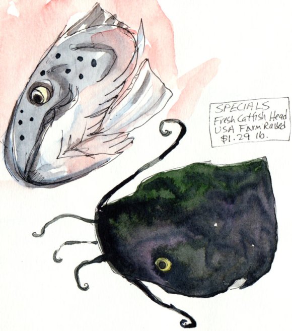 Salmon and Catfish Heads, ink and watercolor