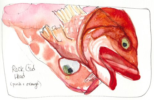 Cod Heads, Ink and watercolor