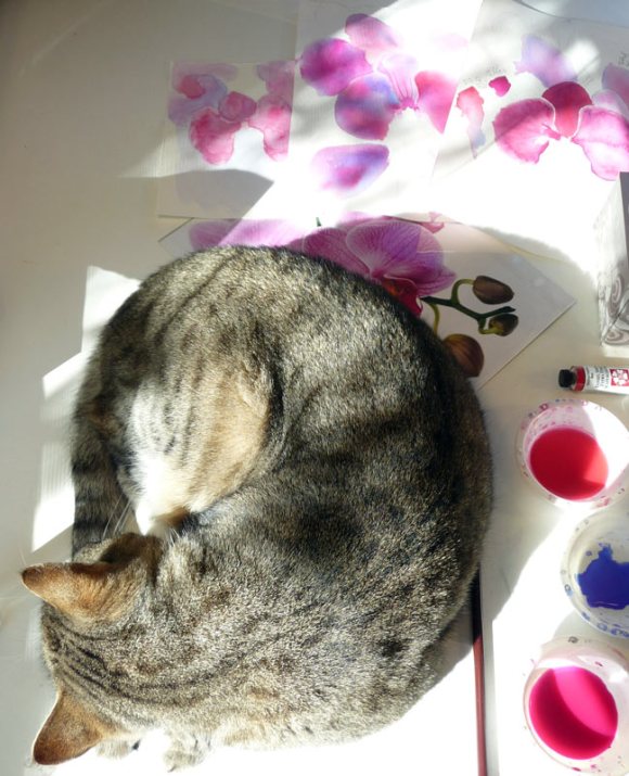 Busby relaxing amidst orchid chaos