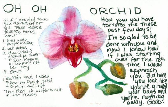 Oh Oh Orchid!