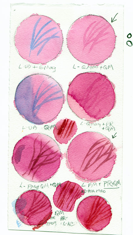 Orchid watercolor test page