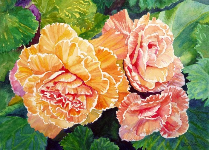Becoming Begonias, Watercolor, 9x12"
