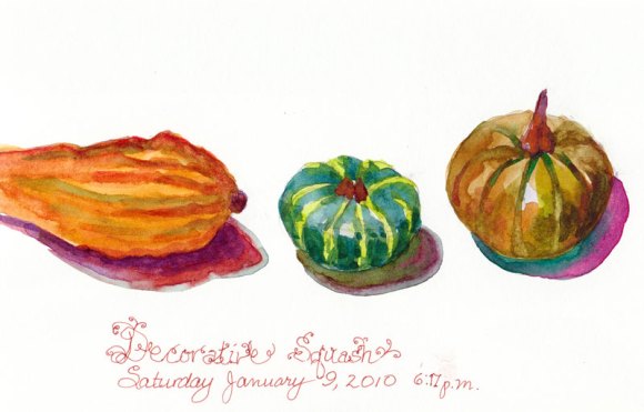 Decorative Squash Being Decorative