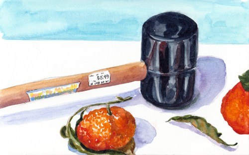 Mallet and Tangerines, watercolor & graphite