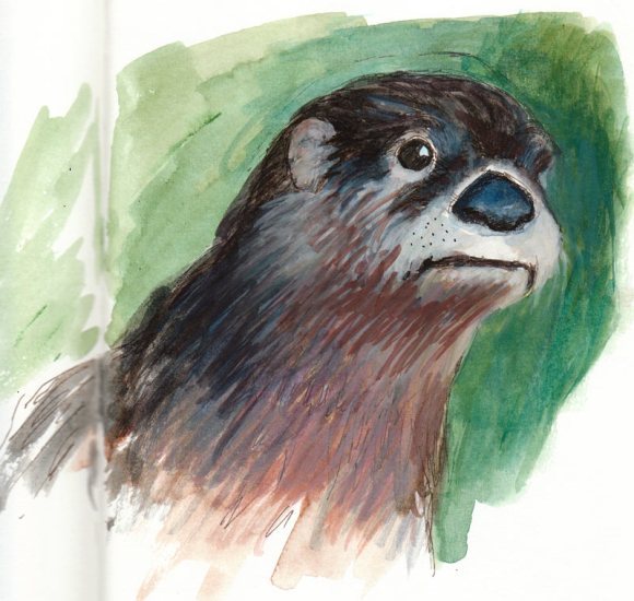 Otter, Gouache and Ink