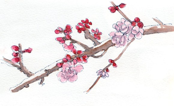 Blossoms, blue ink & watercolor