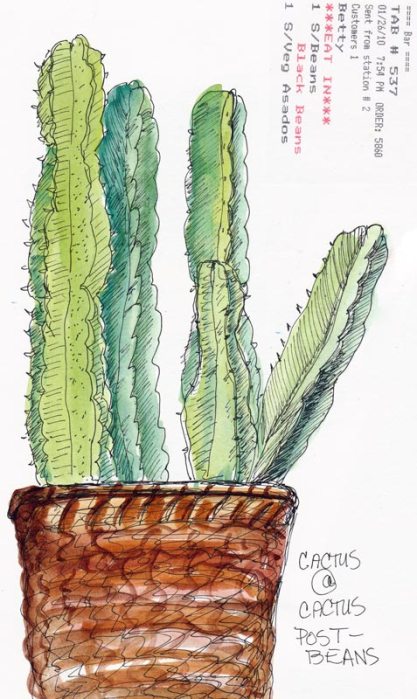 Cactus Basket, ink & watercolor