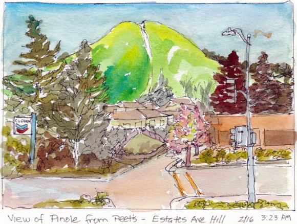 Pretty Pinole from Peets, Ink and Watercolor