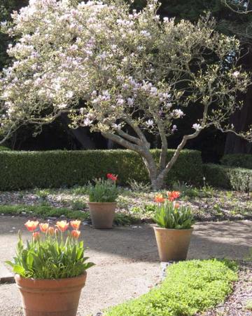 Photo at Blake Gardens