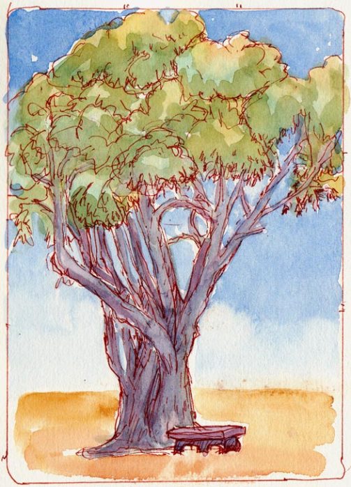 Tree at Dusk, ink & watercolor