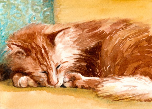 Toby, Orange Maine Coon Cat, 6.5" x 8.5." Watercolor on paper. (SOLD)
