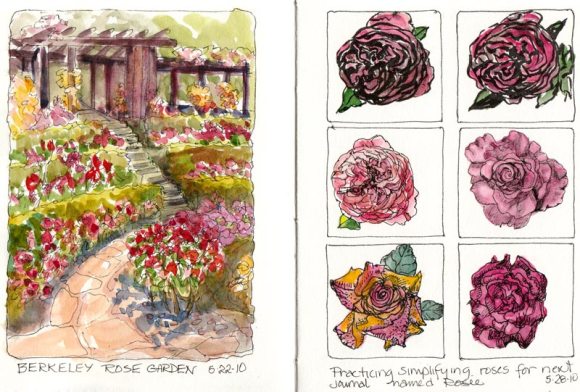 Berkeley Rose Garden & Rose Practice, Ink & Watercolor