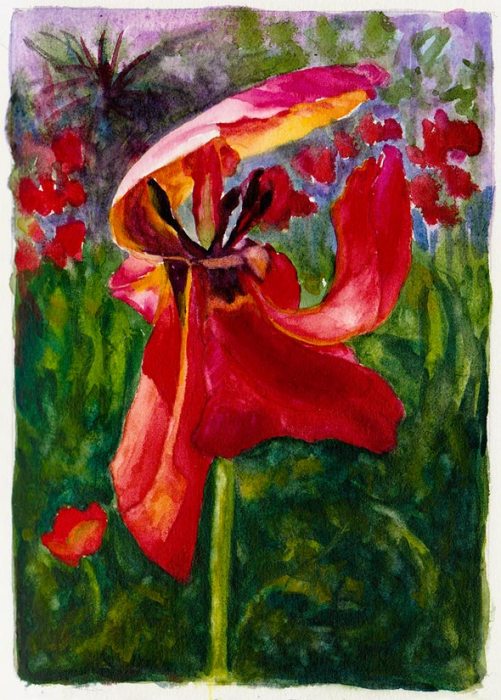 Kaiser Hospital Tulip painting study, watercolor, 4.5" x 6.5"