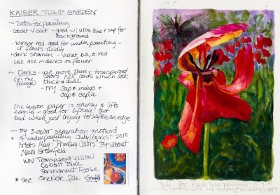 Tulip study and notes for painting, journal spread