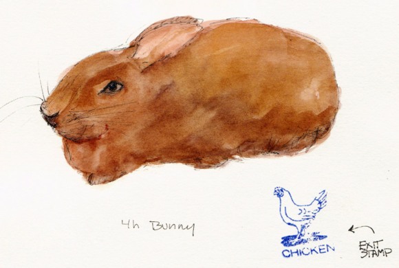 Bunny, ink & watercolor