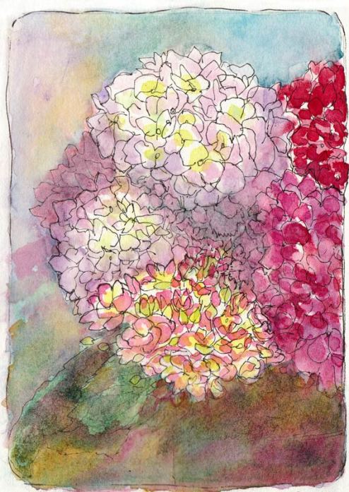 Hydrangeas Attempt #1, ink & watercolor