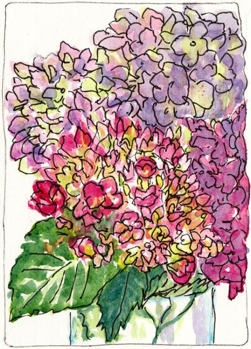 Hydrangeas; Attempt #2, ink & watercolor