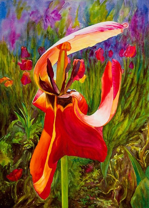 Big Tulip, Watercolor on paper, 30x22"