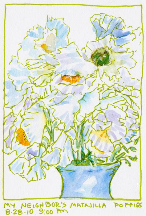 Matalija Poppy Sketch, green ink & watercolor