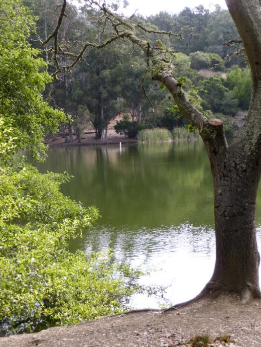 Lake Anza reference photo
