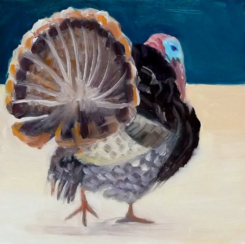 Turkey, oil on panel, 6x6"