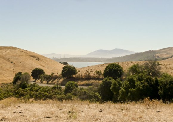 Reference Photo Reference Photo