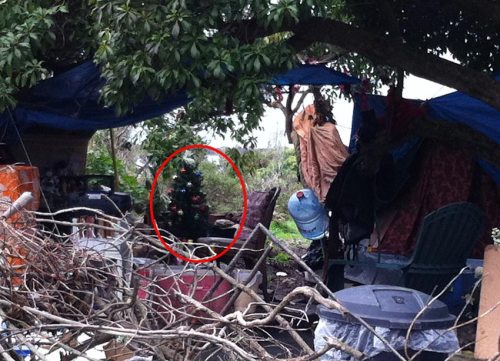 Christmas at the Bulb