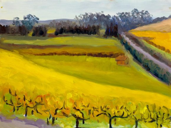 Viansa Vineyard, unfinished plein air